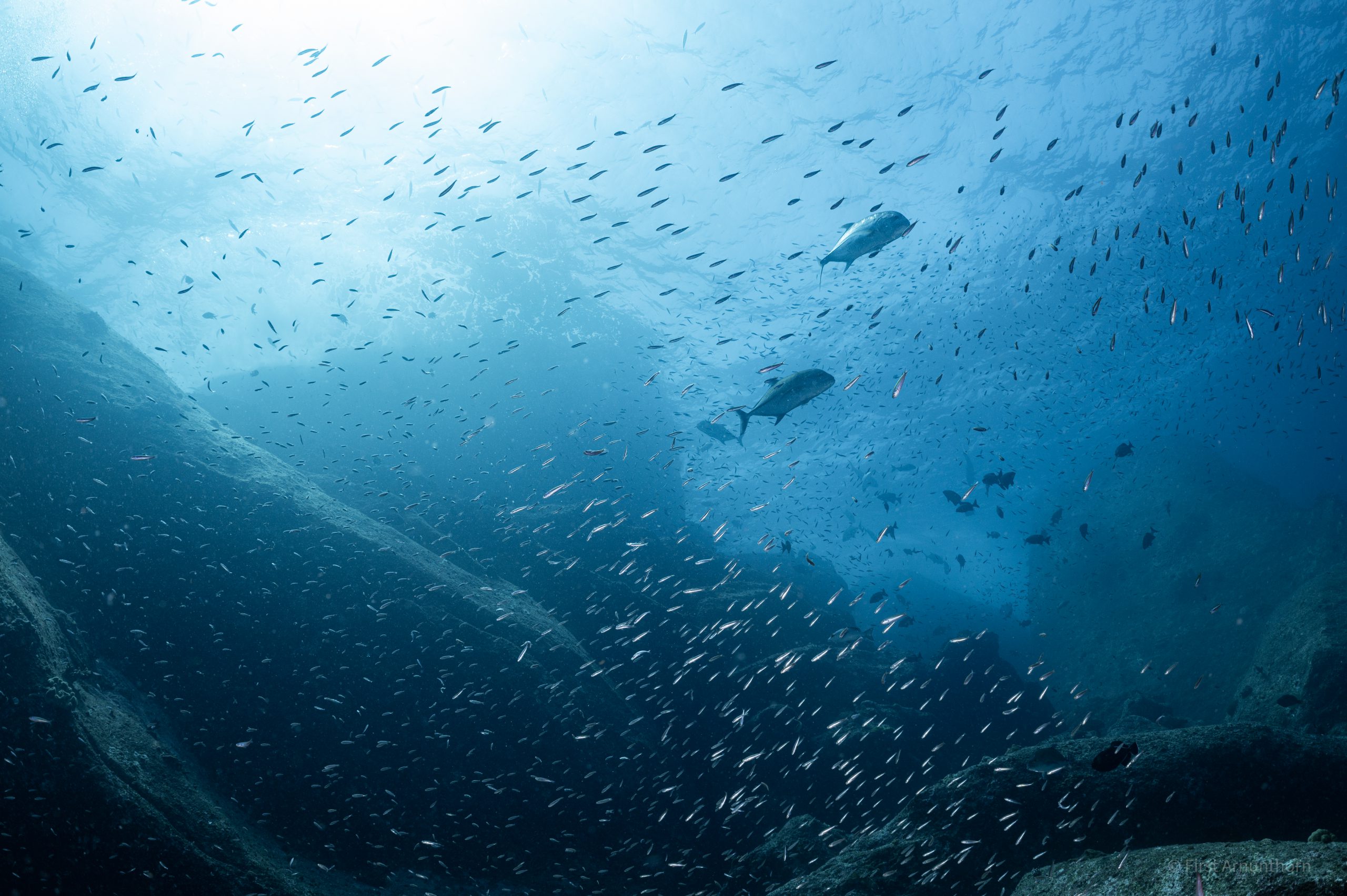 ดำน้ำอันดามัน