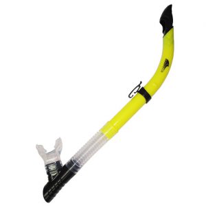 Snorkel สน็อกเกิ้ล