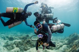 Aruna Voyager Liveaboard