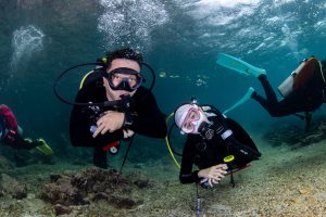 Aruna Voyager Liveaboard