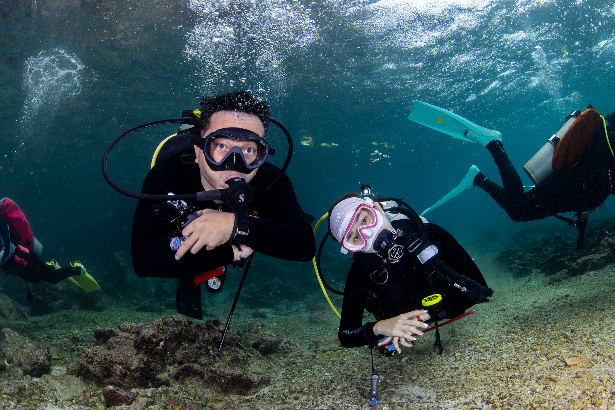 Aruna Voyager Liveaboard